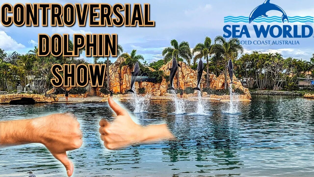SeaWorld Controversial Dolphin show 2023