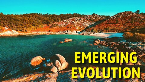Emerging Evolution 40 – Sound Surprise #Dance & Electronic Music [ Free RoyaltyBackground Music]