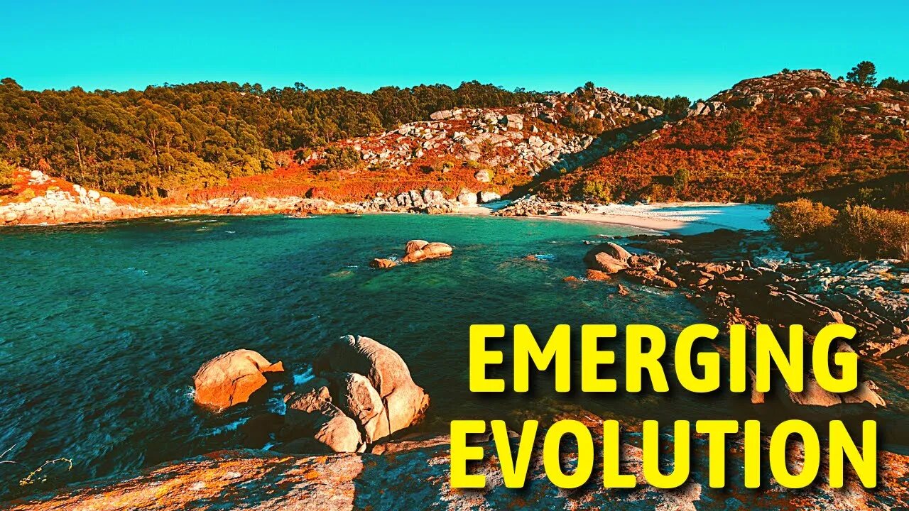 Emerging Evolution 40 – Sound Surprise #Dance & Electronic Music [ Free RoyaltyBackground Music]
