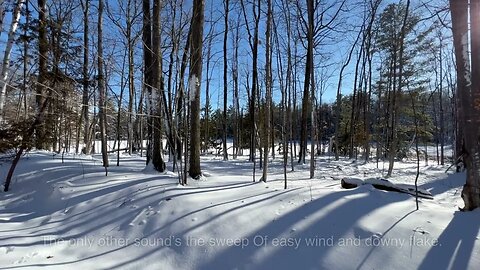 Stopping by Woods on a Snowy Evening