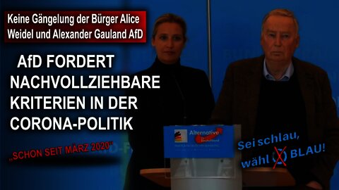 Keine Gängelung der Bürger Alice Weidel und Alexander Gauland AfD