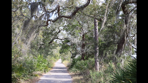Jekyll Island Day 1