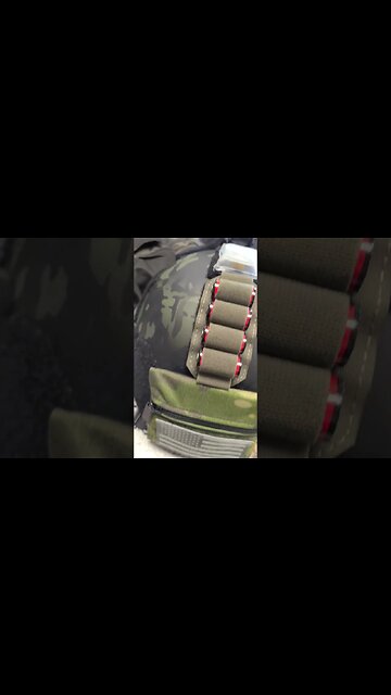 SCORPION & NODS #SHORTS