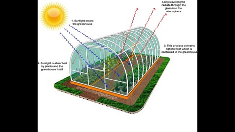 Help Lexwill by Donating to Mark Young's PayPal [Kinghaya73@gmail.com] in Utah for a GREENHOUSE