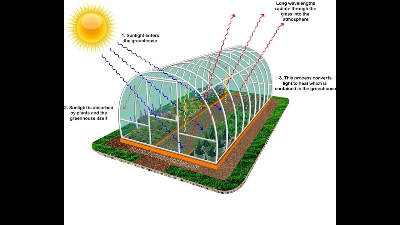 Help Lexwill by Donating to Mark Young's PayPal [Kinghaya73@gmail.com] in Utah for a GREENHOUSE