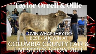 🌟Taylor Orrell and Ollie Showin At Columbia County Fair & Livestock Show 2021