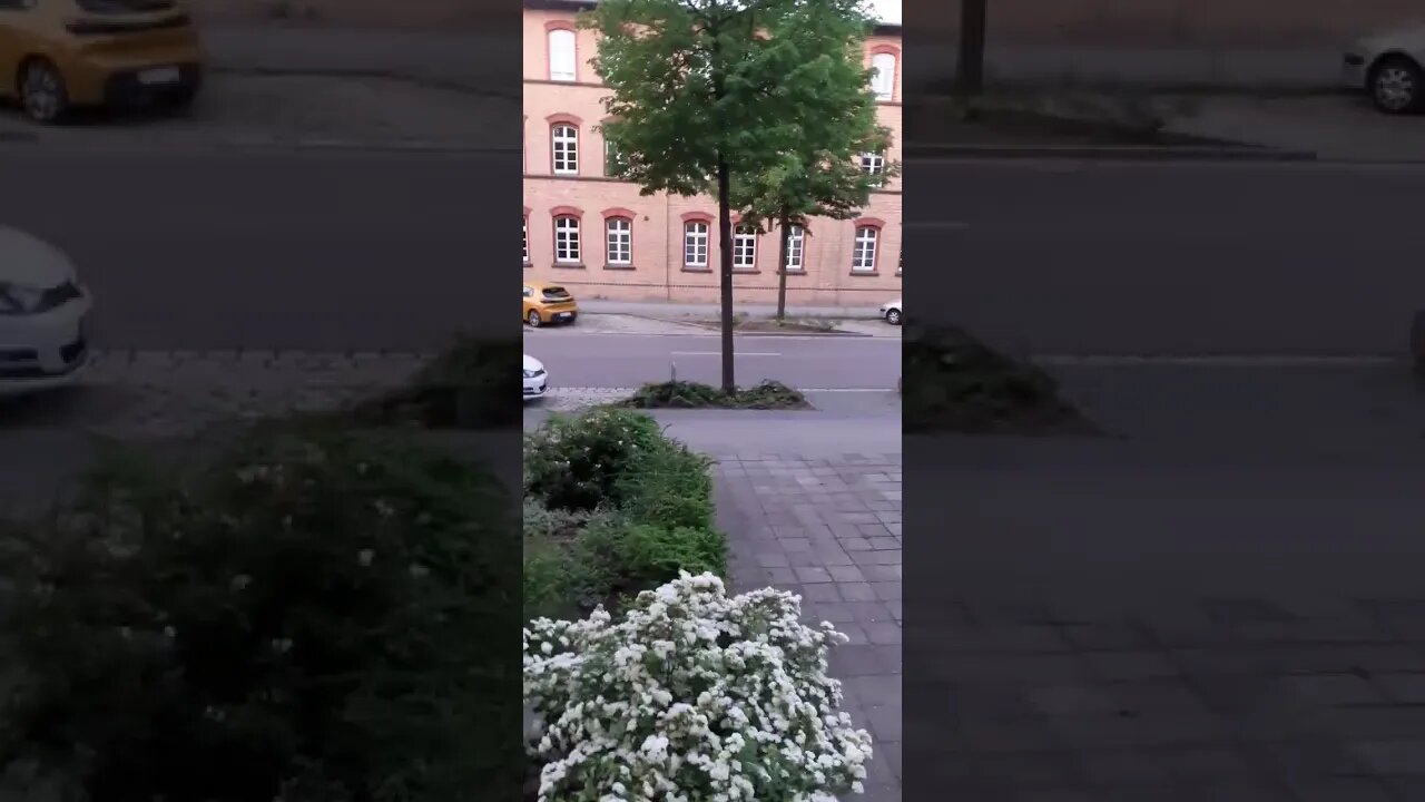 19. Mai 2023