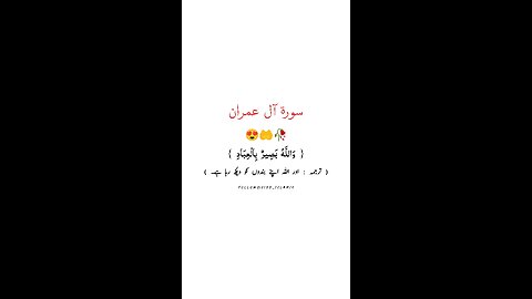 { وَاللَّهُ بَصِيرٌ بِالْعِبَادِ }