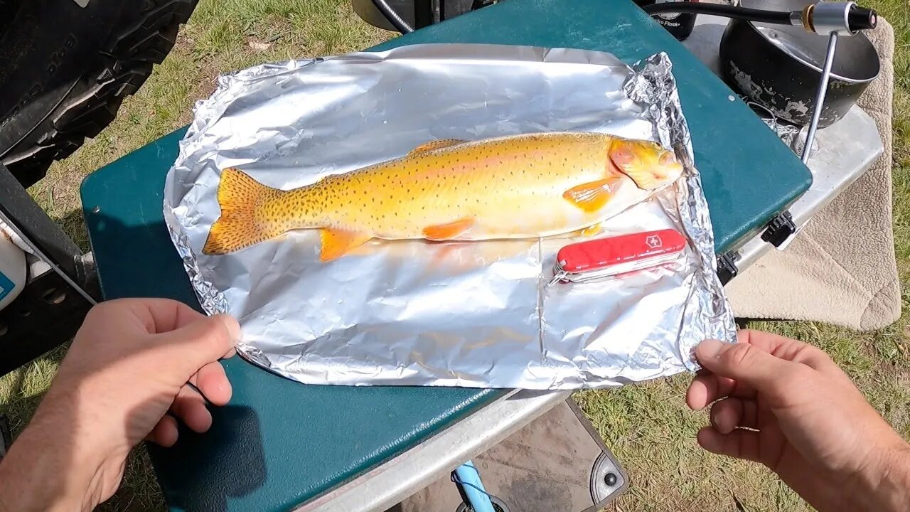 Friday Night Fish Fry (w/ ICE CREAM) on the Tailgate