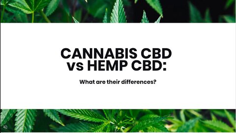 Cannabis CBD vs Hemp CBD: What are their differences?