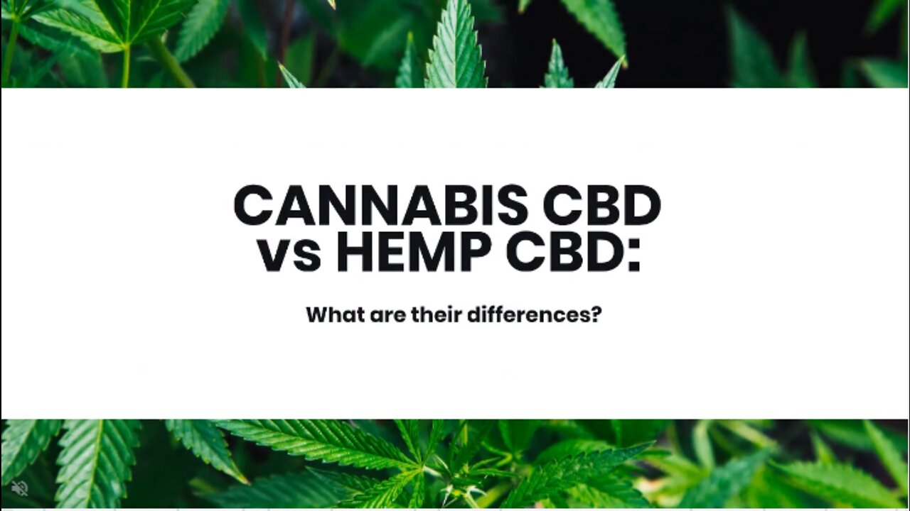 Cannabis CBD vs Hemp CBD: What are their differences?