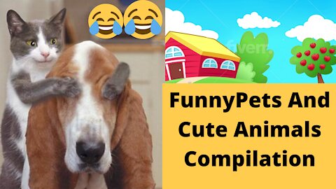 🔥🤣Funny Pets And Cute Animals Compilation