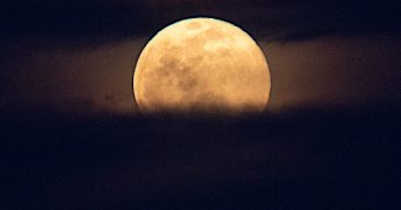 'Lunar Ark' Proposed to Store 6.7 million Sperm Samples as Global Insurance Policy!