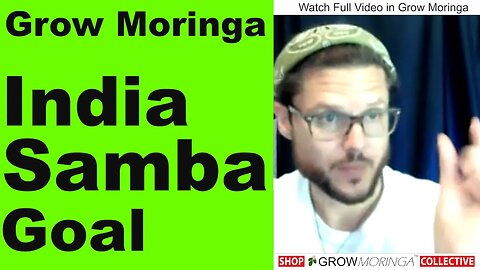 Moringa Drumstick Seedpods Make Traditional Indian Sambar Soup | Find Orlando Members on Moringa Map