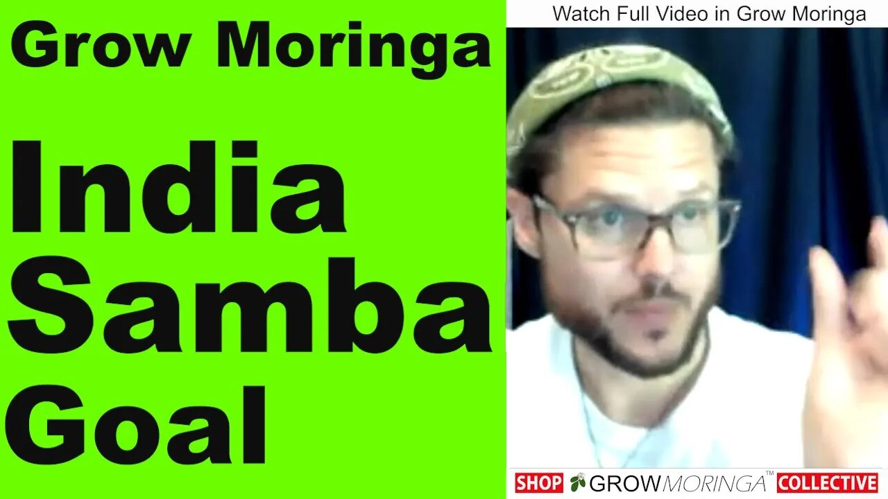 Moringa Drumstick Seedpods Make Traditional Indian Sambar Soup | Find Orlando Members on Moringa Map