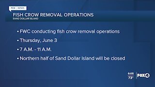 Fish Crow removal closing northern half of Sand Dollar Island tomorrow