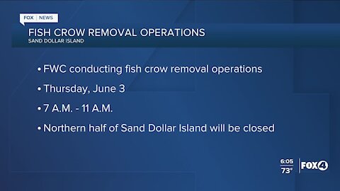 Fish Crow removal closing northern half of Sand Dollar Island tomorrow
