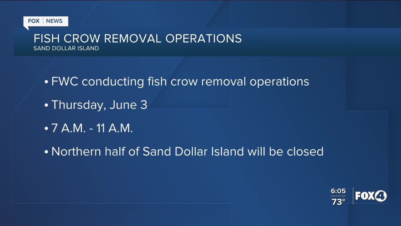 Fish Crow removal closing northern half of Sand Dollar Island tomorrow