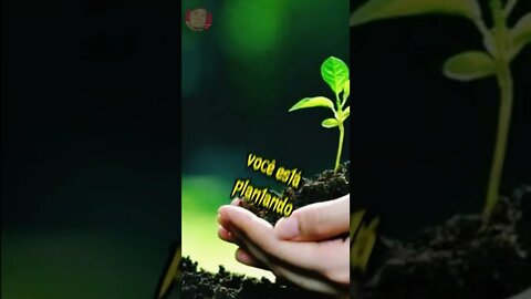 VOCÊ PRECISA GUARDAR ISSO E PRATICAR OUÇA!