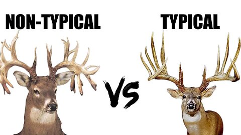 Our favorite type of rack?