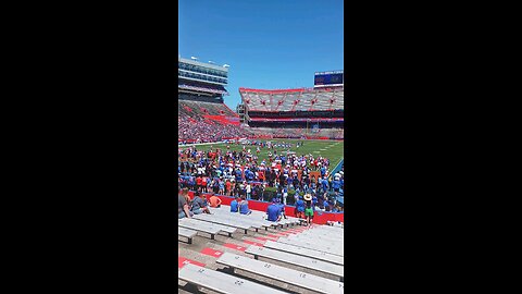 Go Gators