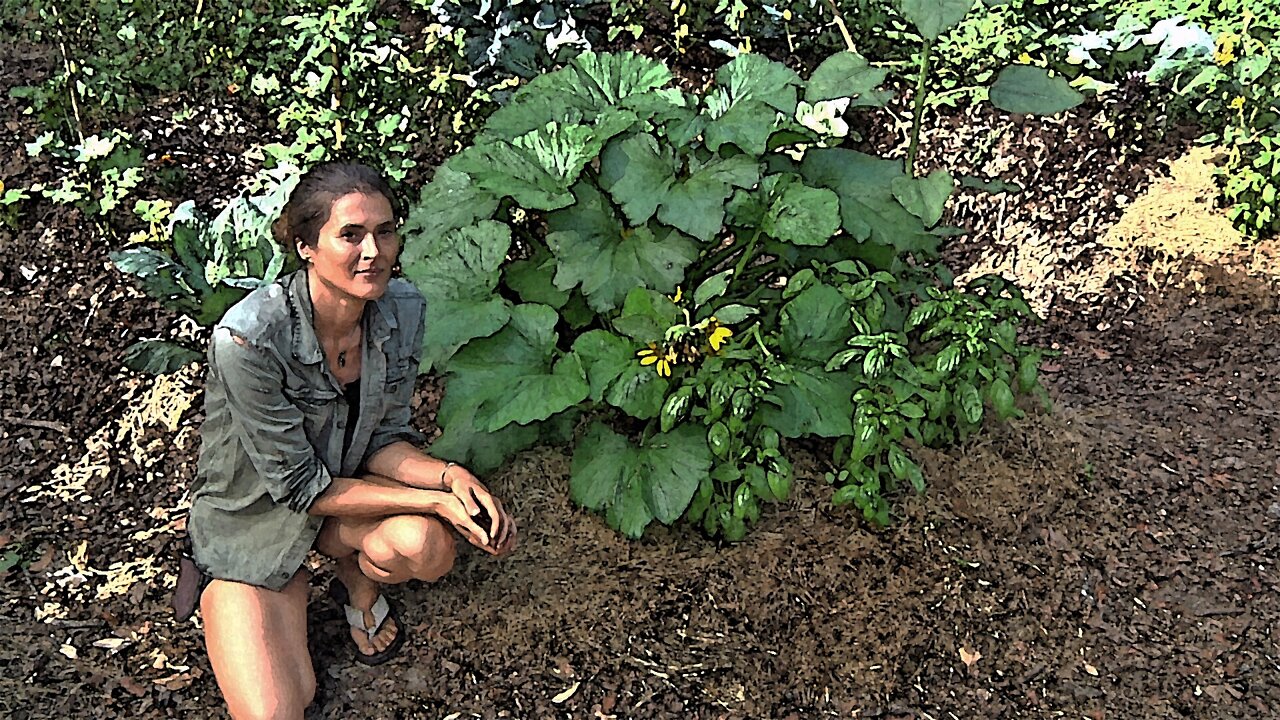 Permaculture Paradise: Val's Mandarin Garden Pt. 2
