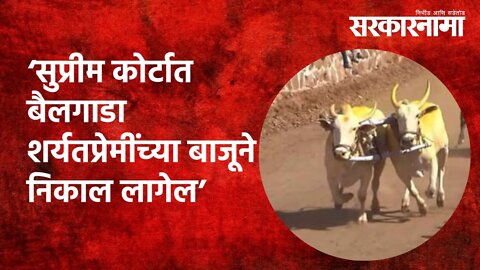 Bullock cart race| 'सुप्रीम कोर्टात बैलगाडा शर्यतप्रेमींच्या बाजूने निकाल लागेल'| Manchar|Sarkarnama