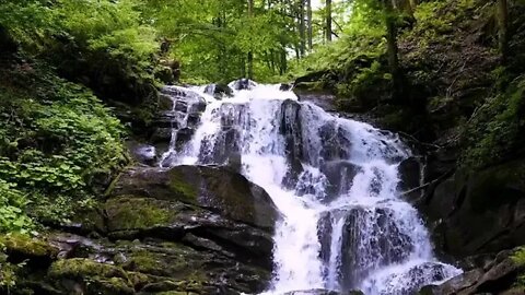 A beautiful melody to tears! Healing Music to Relieve Stress, Fatigue, Depression, N