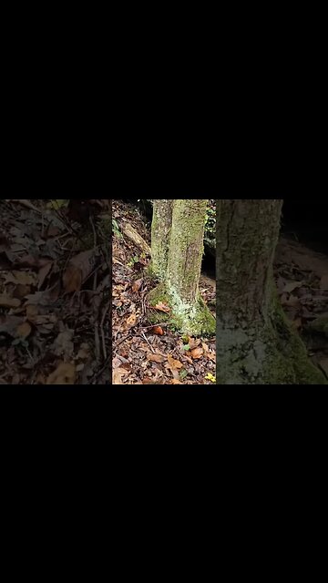 Can you tell what happened here?