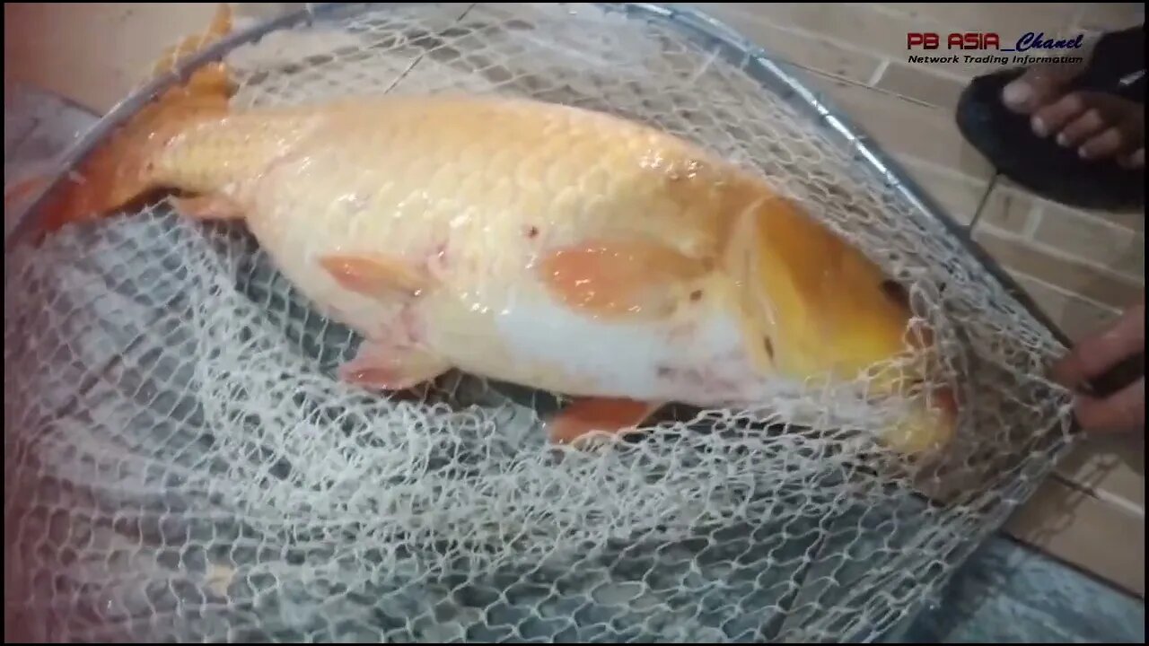 Straike Ramadhan 1444 Hijriah