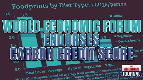 WEF Endorses “Climate Credit Score”, Credit Card With Carbon Limits