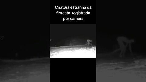 O que você acha !?
