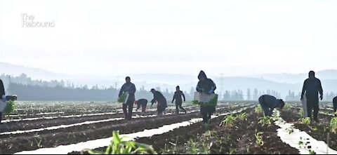 Migrant farmers hit hard in terms of education
