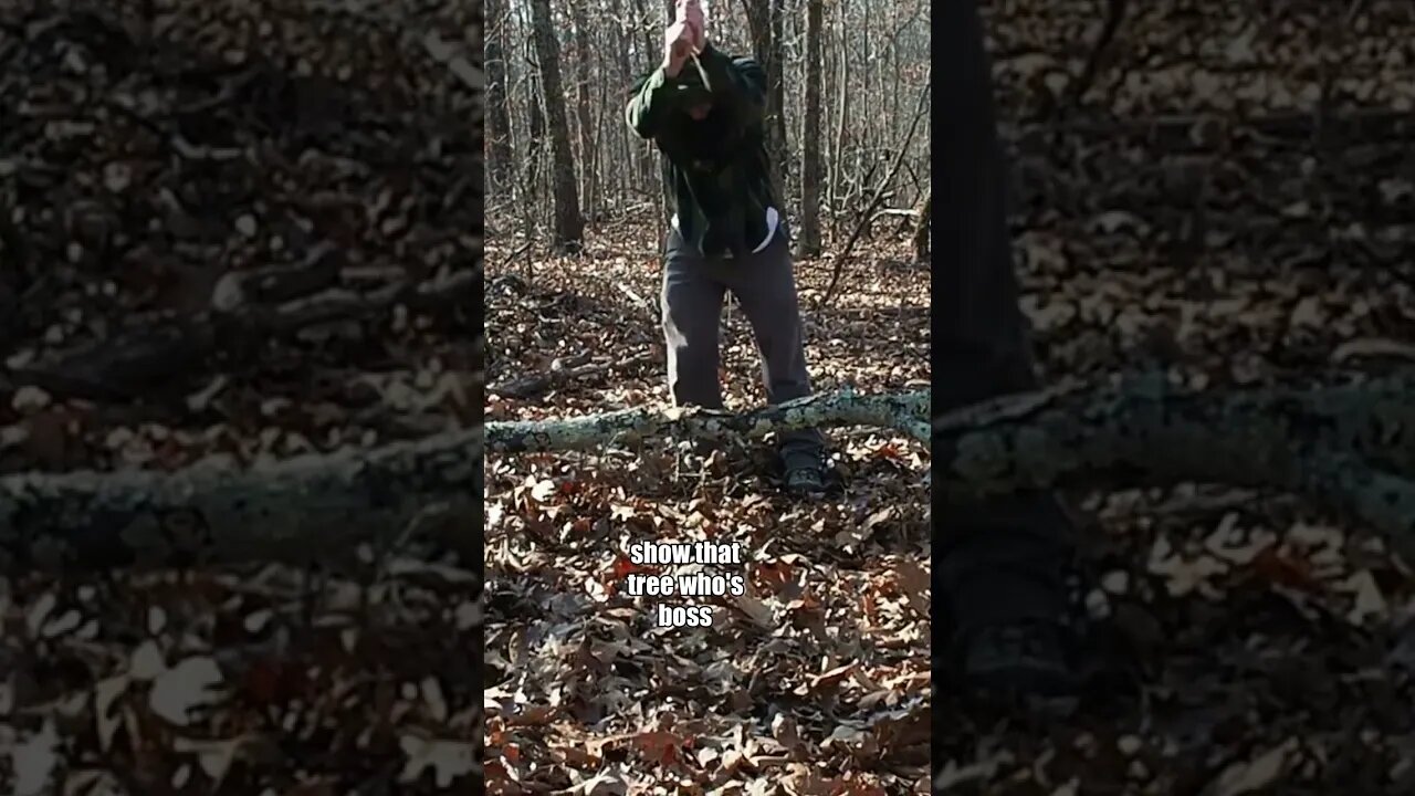 Tree Work + Guns at the Cabins