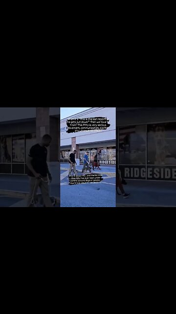 Aggressive Pitbull Learning a New Way!! #dogtraining #dogtrainer #pitbull