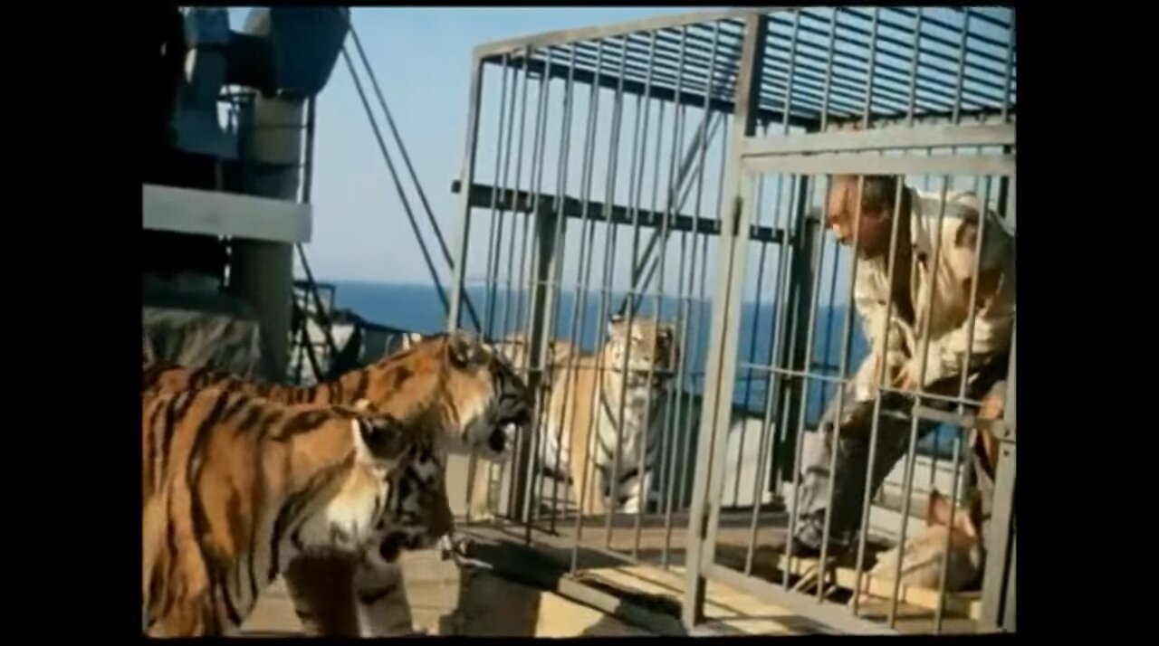 Stripped Trip (1961)