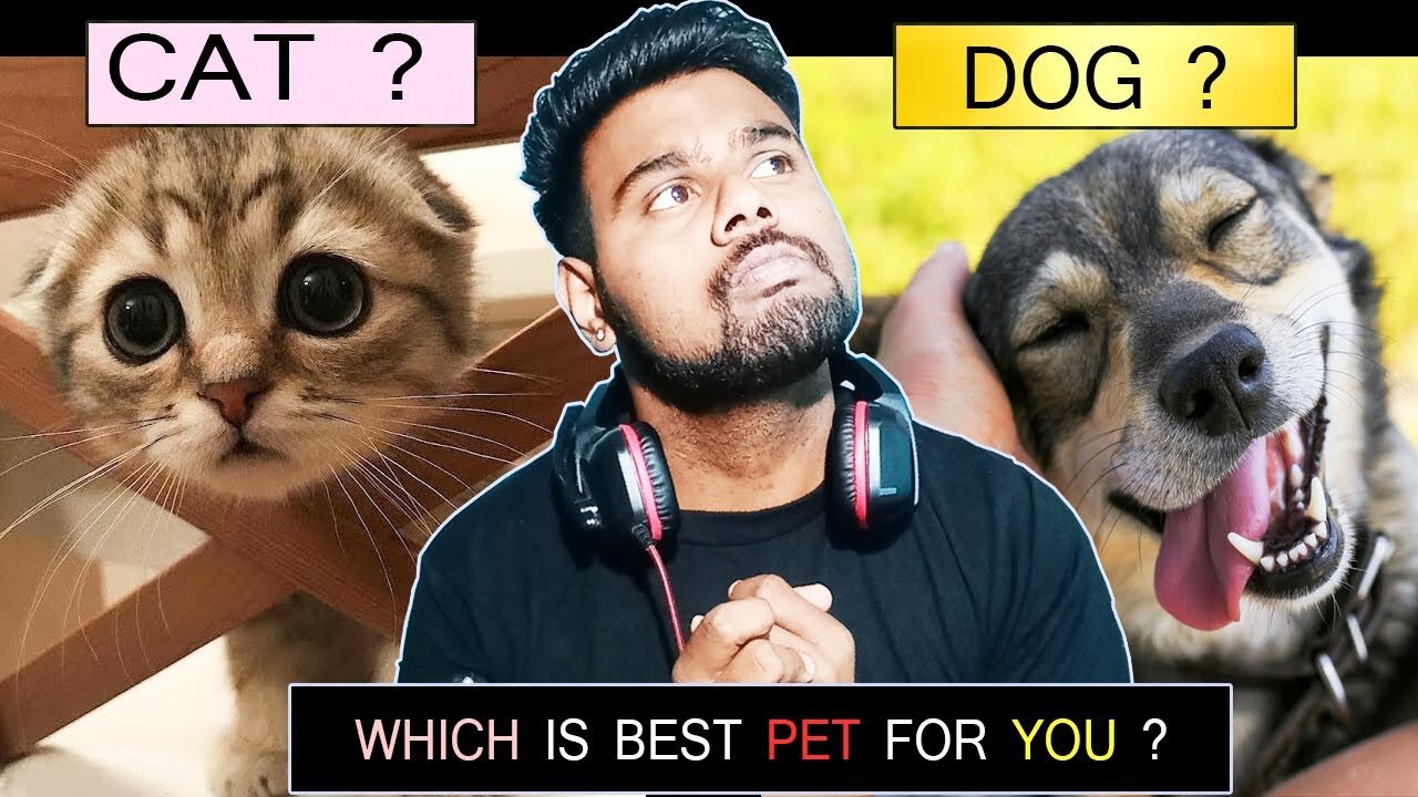 which pet is best dog or cat | घर में कुत्ता पाले या बिल्ली ? 😱 | PRKILL FACTS