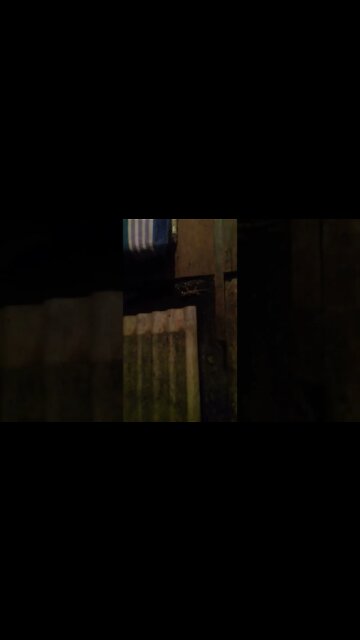 a largatixa pegou a barata pt5 #shorts