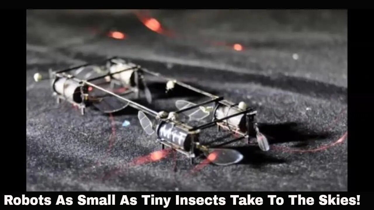 Robots As Small As Tiny Insects Take To The Skies!