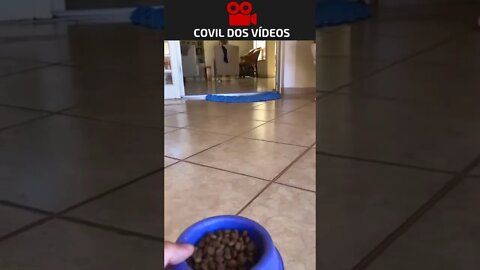 tutorial de como chamar o interesseiro