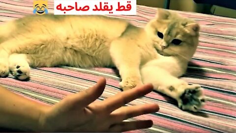 تجميعية مقاطع مضحكة للحيوانات 2021😁😂🤣