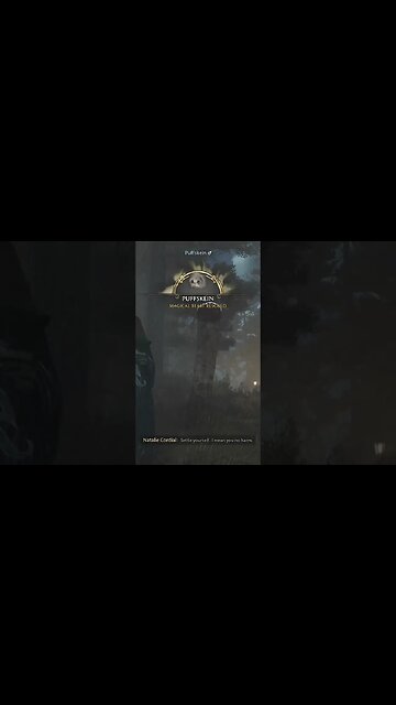 puffskines climb trees in #hogwartslegacy #glitch