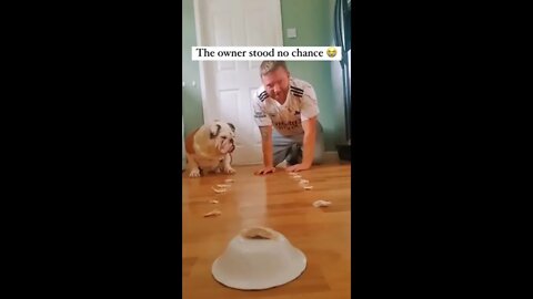 The dog didn’t show any mercy