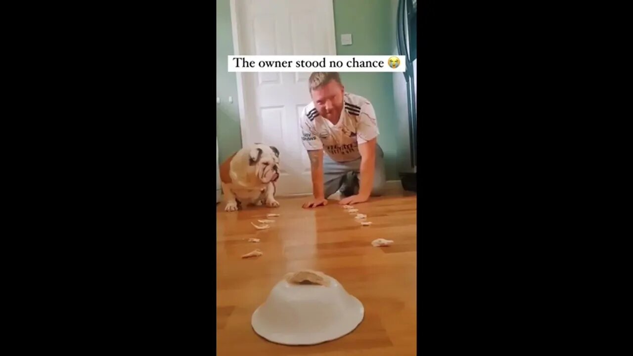 The dog didn’t show any mercy