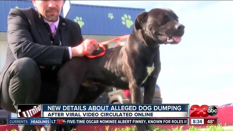 Man who recorded circulating video of alleged dog dumping speaks out