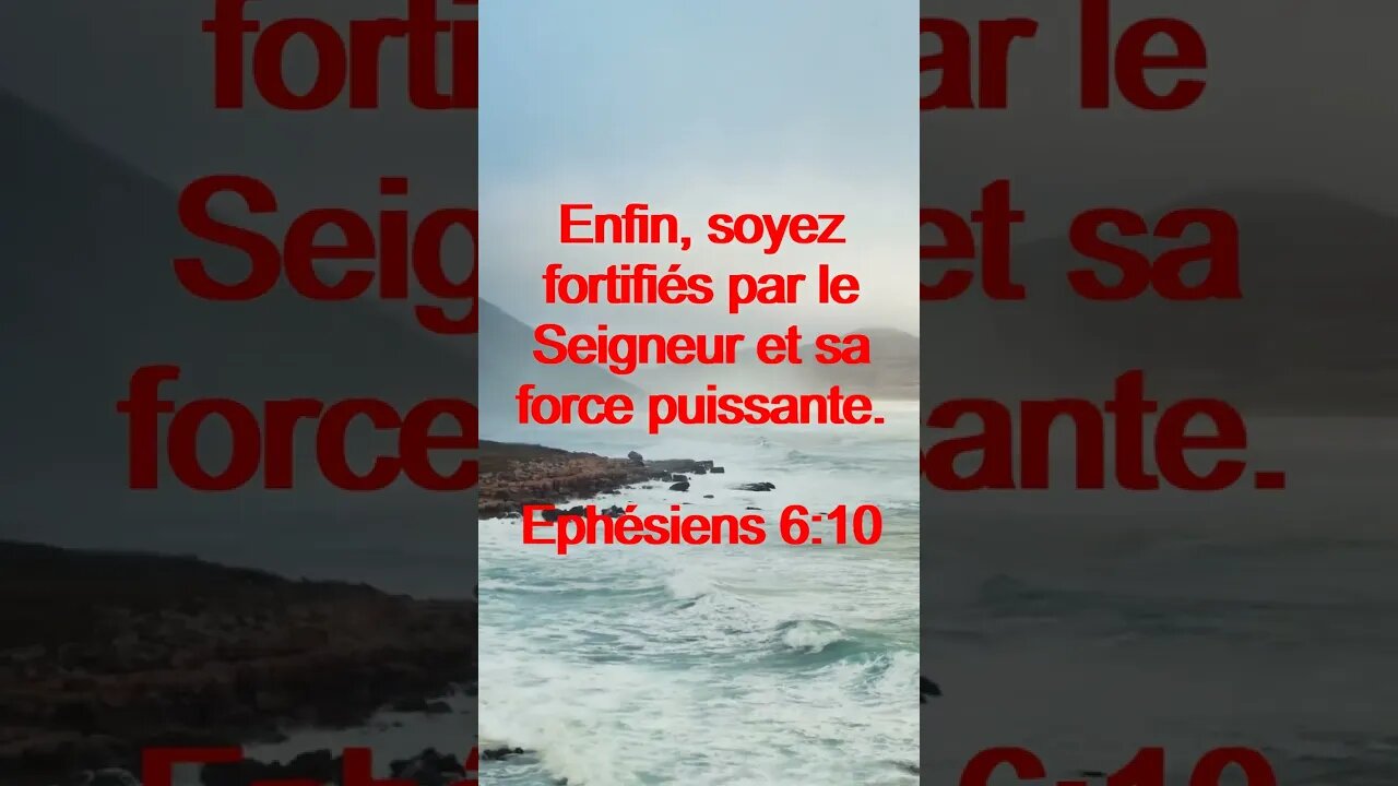 Verset Du Jour | Lecture Inspirante Pour Commencer La Journée. | 46