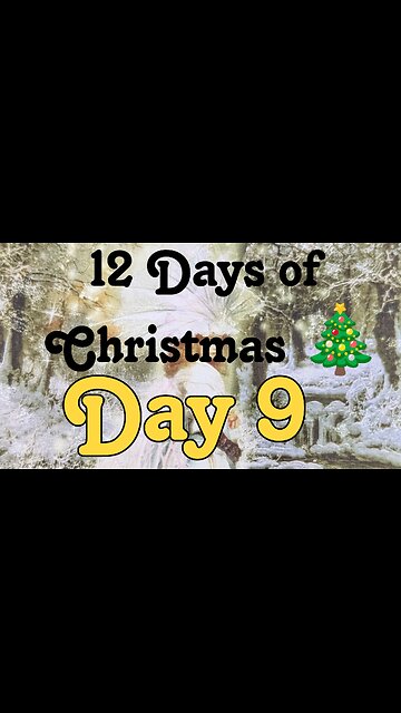 Butterfly Insightful Daily Tarot - 12 days of Christmas - day 9