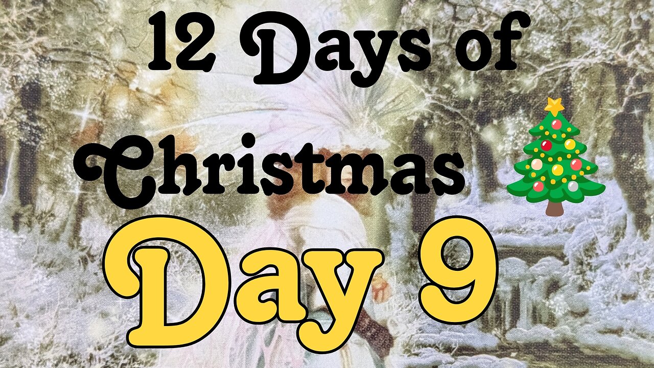 Butterfly Insightful Daily Tarot - 12 days of Christmas - day 9