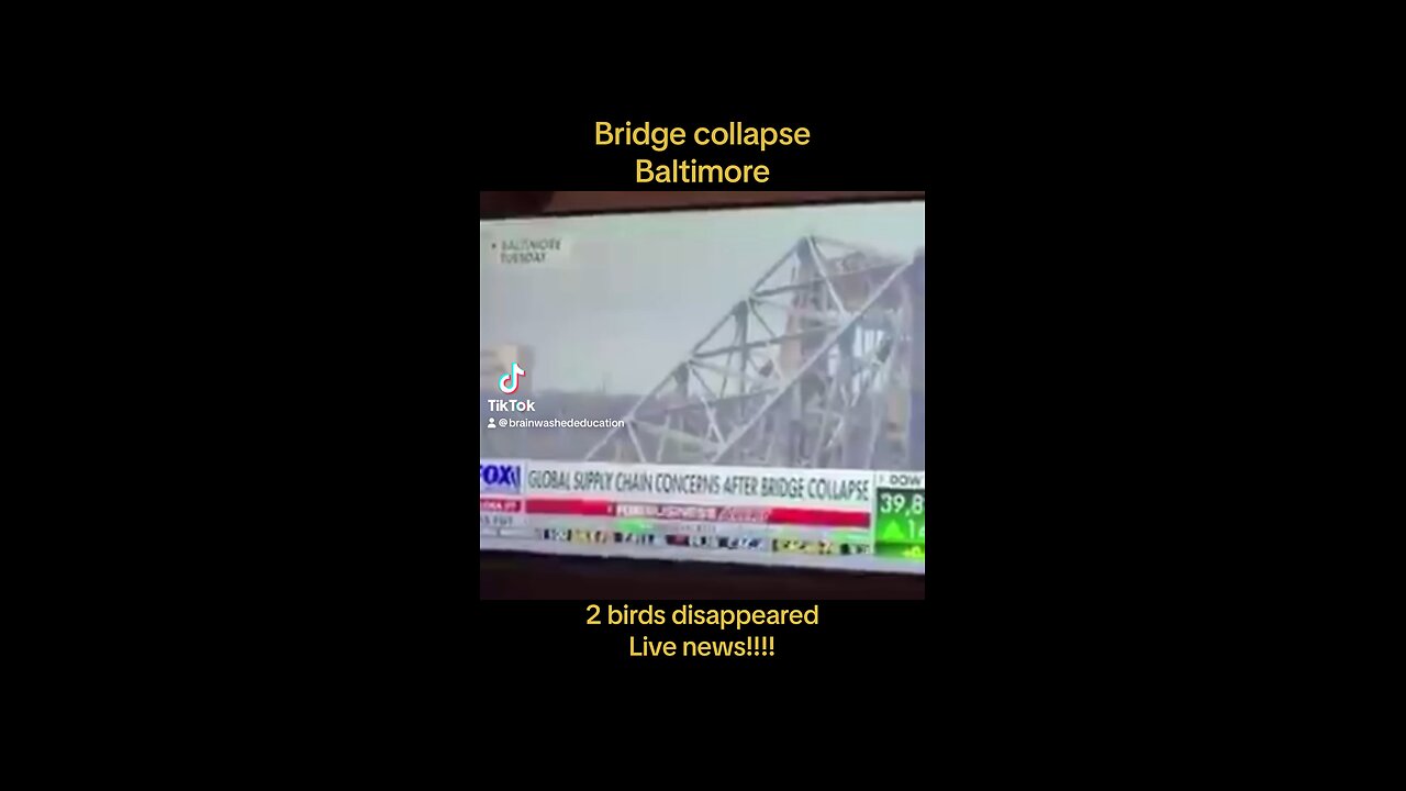 Baltimore bridge collapse AI