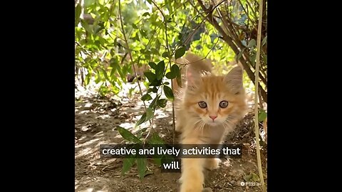 💓Adorable Kitten Play Ideas - Made With AI💓 #shorts #kitten #viral